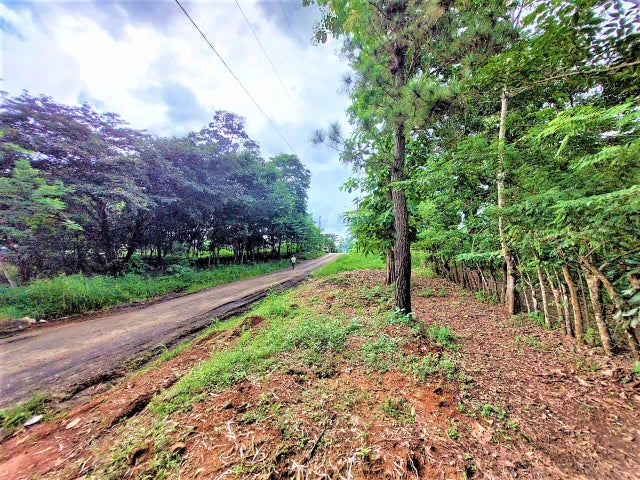 Commercial Property for Sale in Tocumen Panamá Province 07215